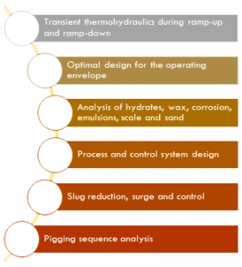 Specialized Studies – Integrated Process Solutions